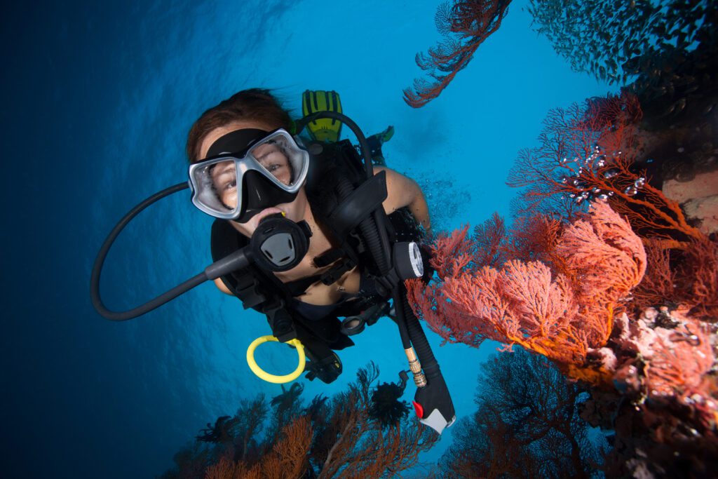 Scuba diver in Cancún looking at the camera beside a vibrant coral reef in the Mesoamerican Barrier Reef.