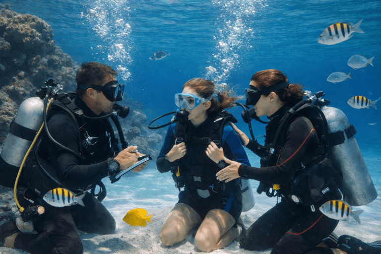 Beginner scuba students training with tropical fish on a Try Scuba experience in Cancún with Vision Oceanos