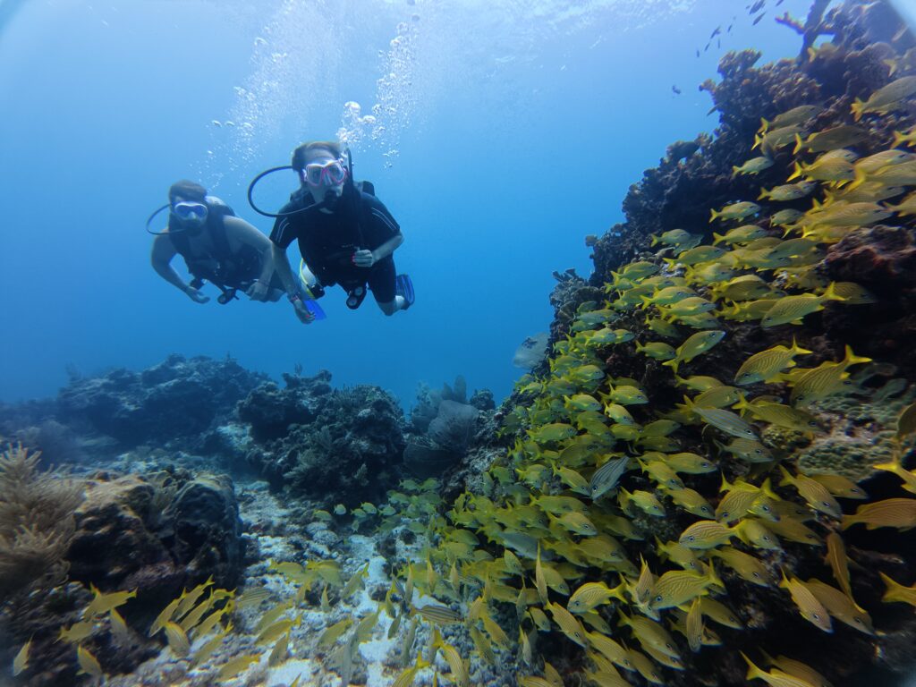 Beginner scuba diver practicing skills in Cancun with Vision Océanos instructor