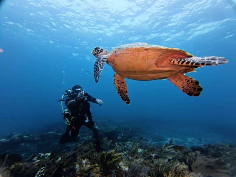 Vision Oceanos dive team preparing for a guided reef dive in Cancún
