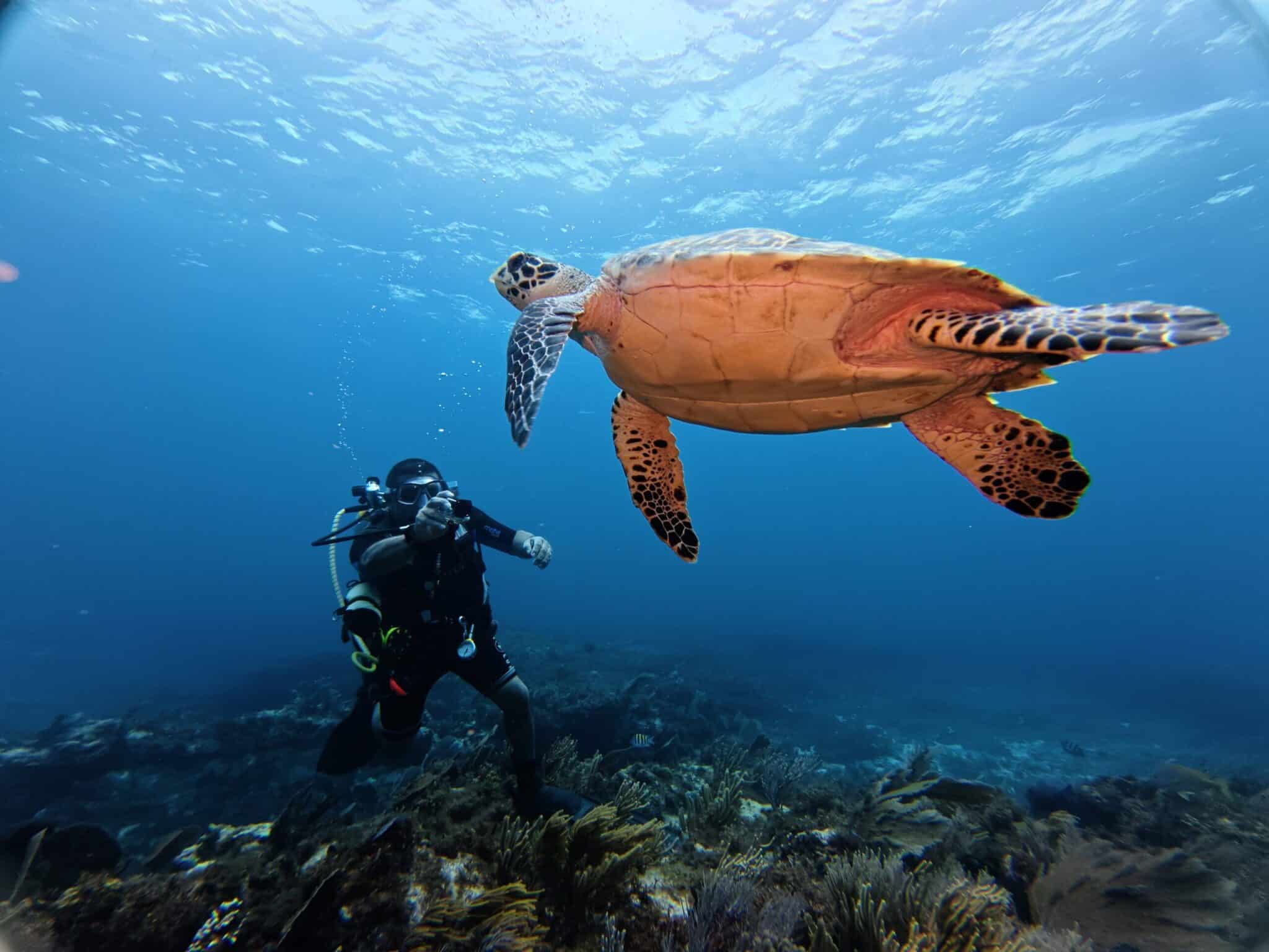Vision Oceanos dive team preparing for a guided reef dive in Cancún