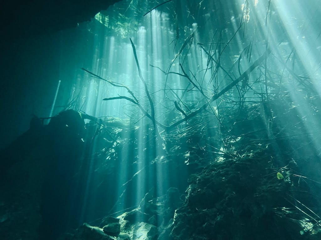 Mystical underwater scene with sunlight beams breaking through water, illuminating submerged branches.