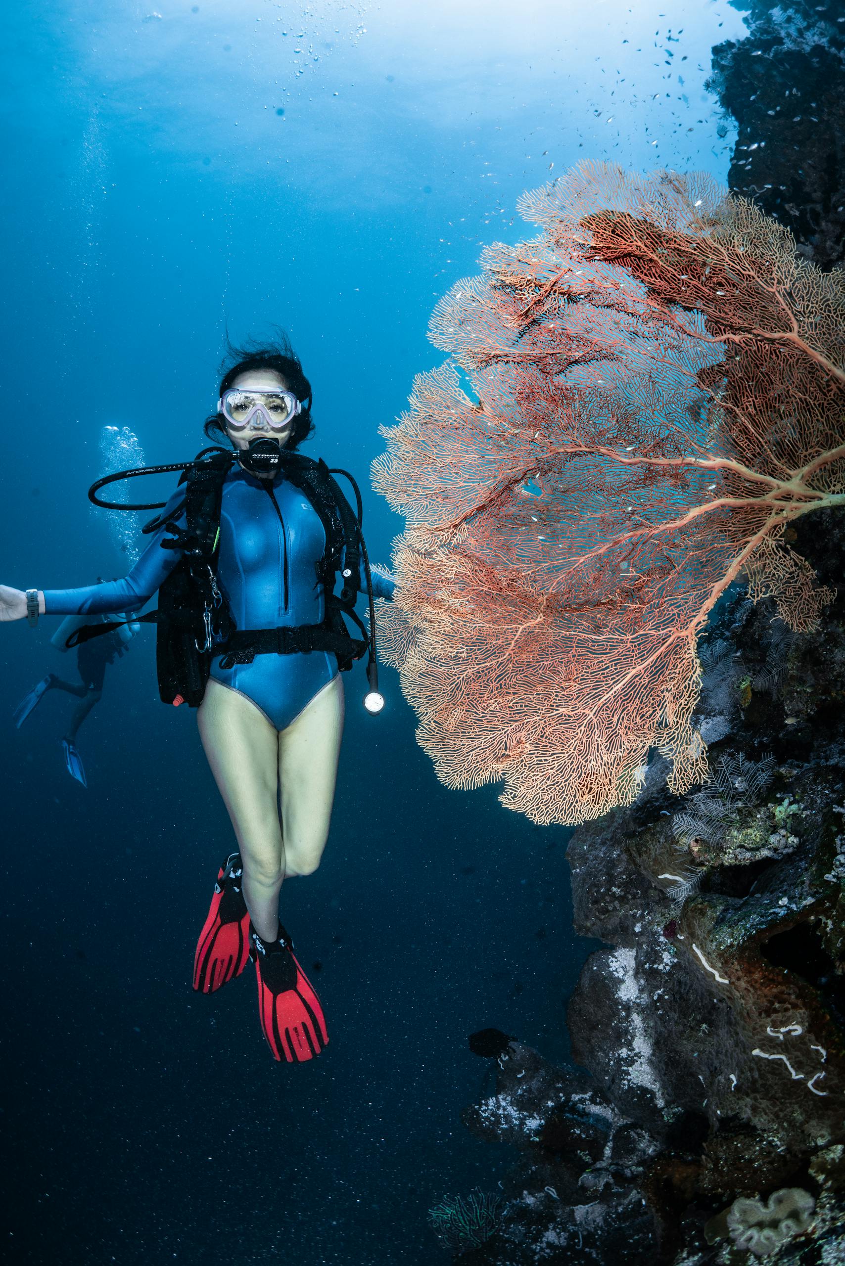 Woman scuba diving near a coral reef in South Sulawesi, Indonesia.