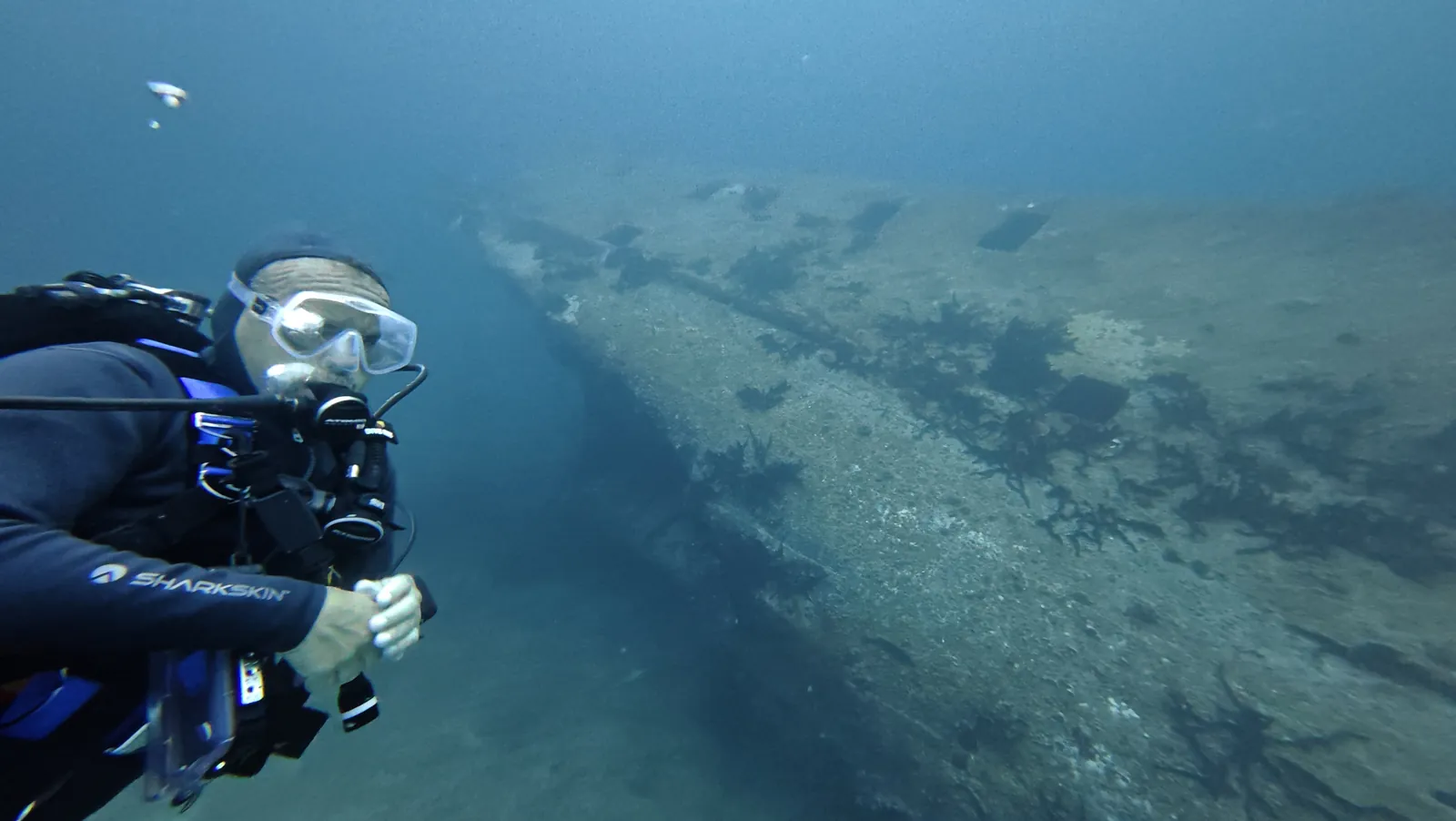Diver beside the hull of the C-55 Juan de la Barrera shipwreck in Cancún — Vision Oceanos